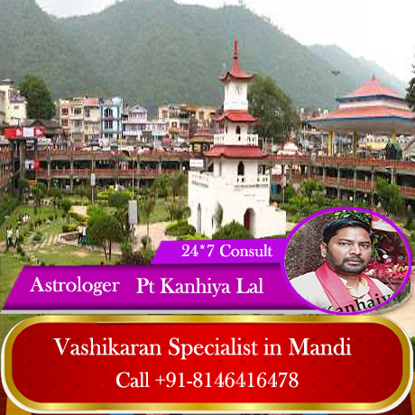 Indian Astrologer Pnadit Kanhiya Lal